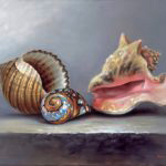 Shells