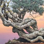Olive Tree