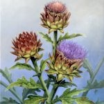 Artichoke flowers