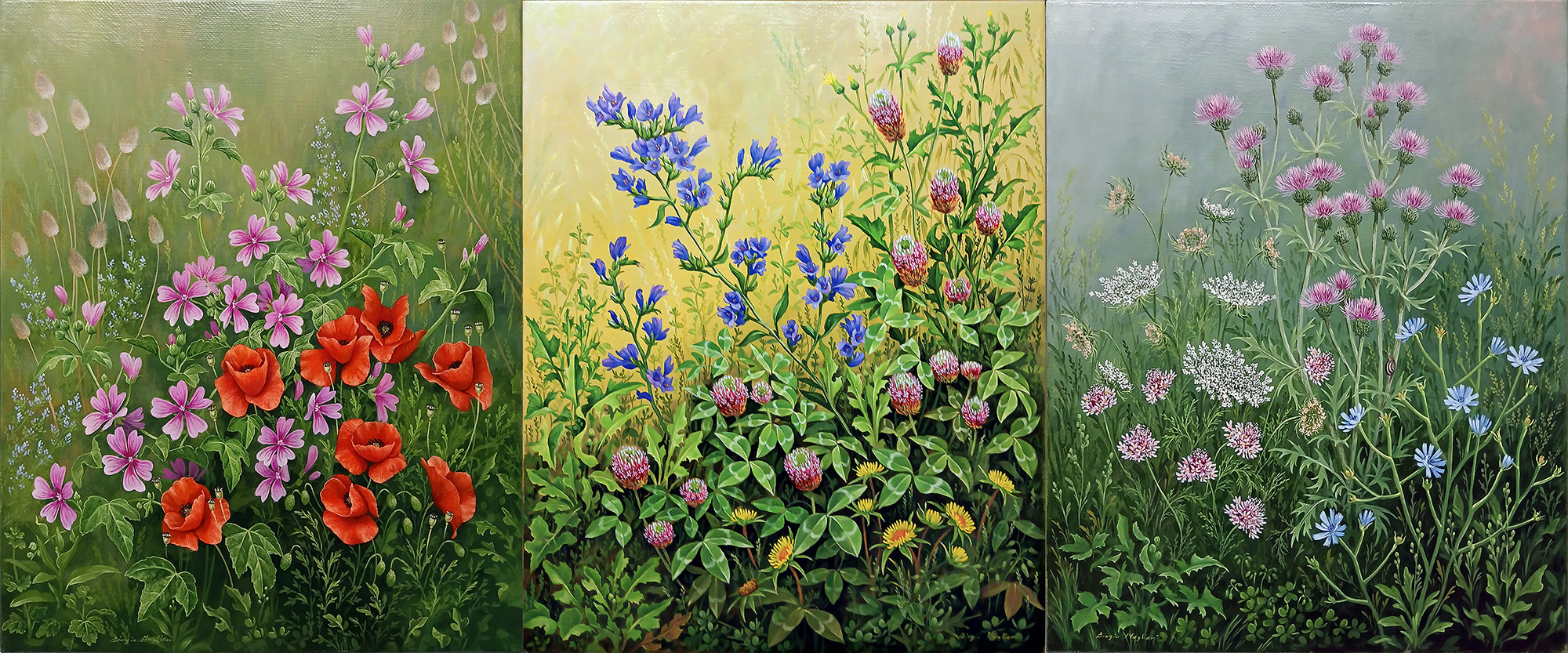 Triptych wildflowers